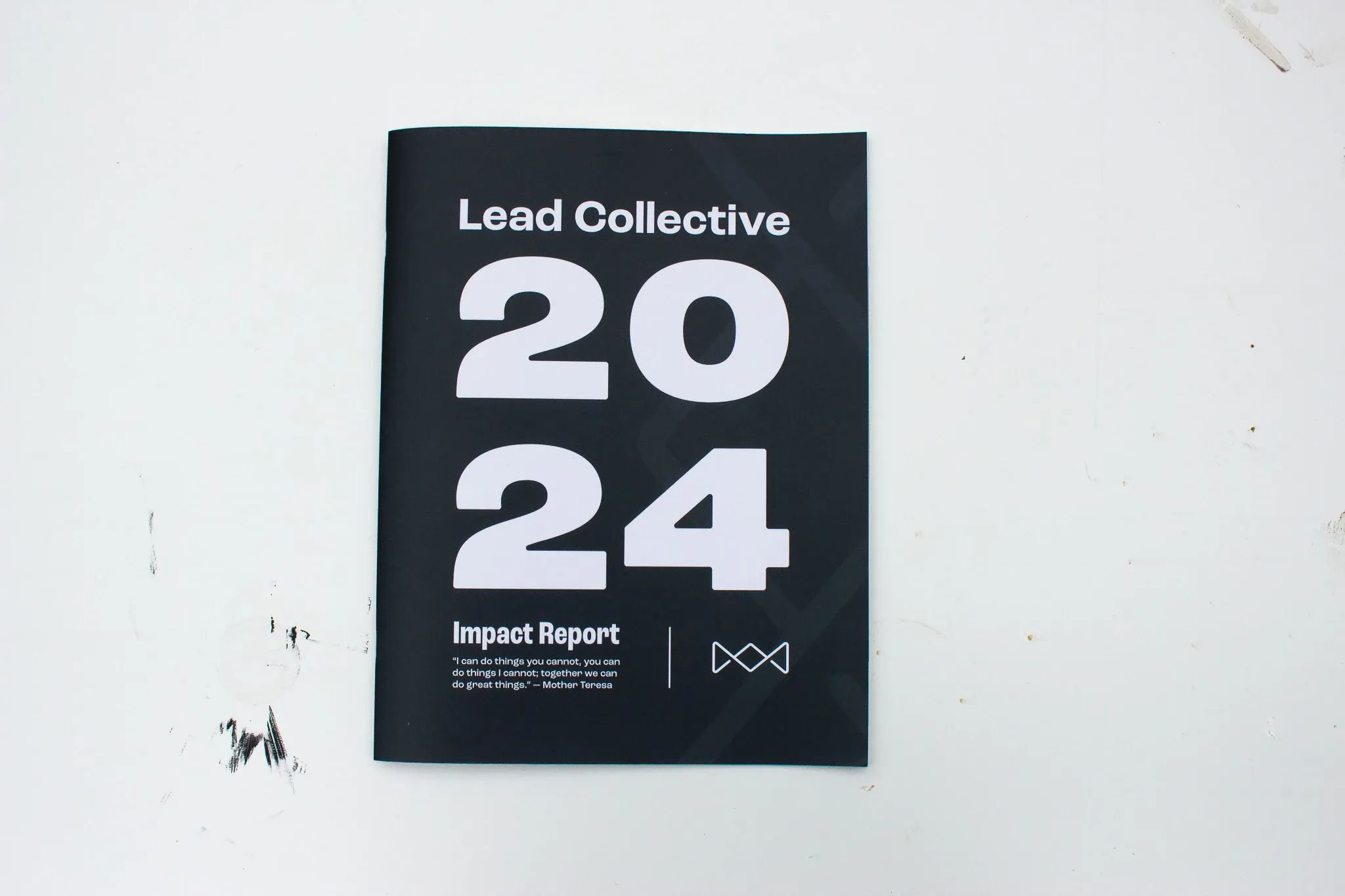 Lead Collective Impact Report 2024